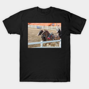 Horse show T-Shirt